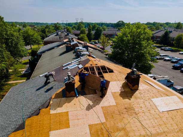 24/7 Emergency Roof Replacement experts in Logansport, LA